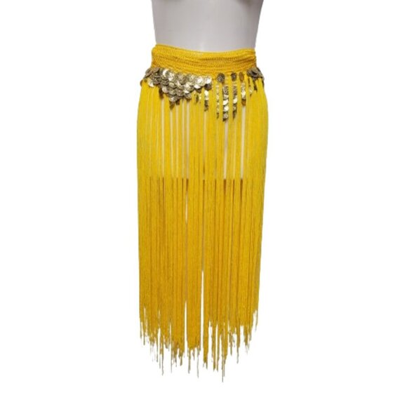 Hip Skirt Belly Dance Tassels Fringe Skirt Bellydance Coins and Fringe Hip Scarf - Picture 4 of 11
